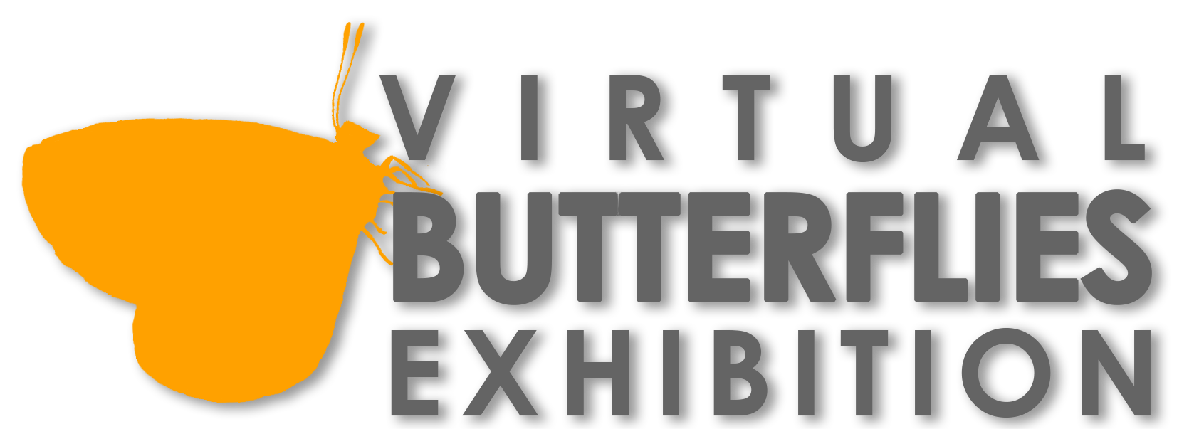 Virtual Butterfly Exhibition