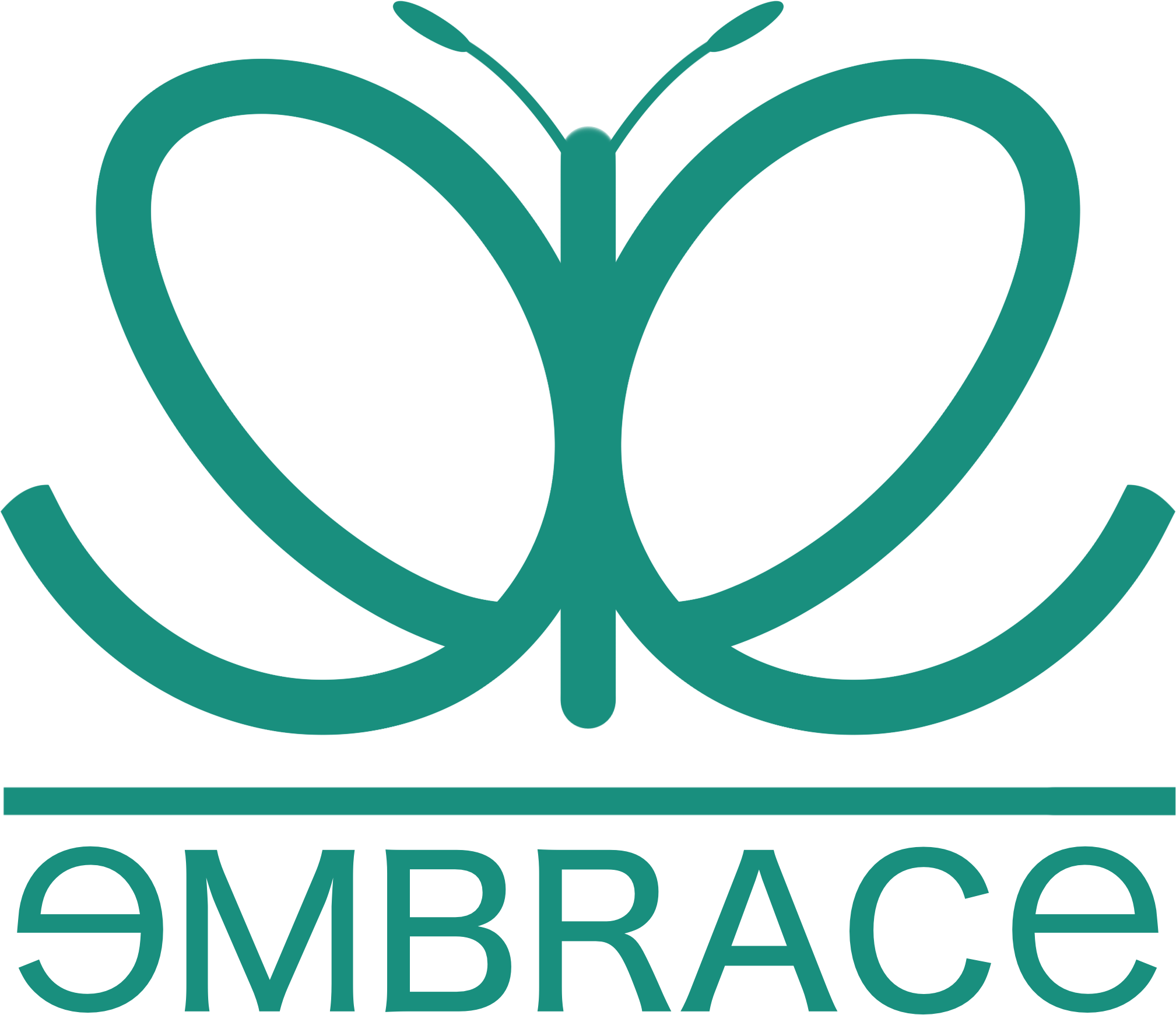 EMBRACE project teaser