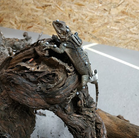 ReTrack project teaser